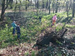 Sprzatanie swiata 2016 - 08